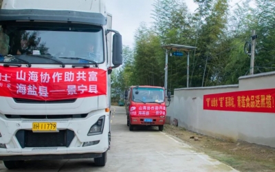 懷抱熱愛、奔赴山海~ 膳博士黑豬“遠嫁”景寧鄭坑助共富！